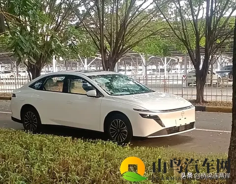 男人挺进雌性宠物爽到叫：男性挑战雌宠世界，女子欢愉声连连-2