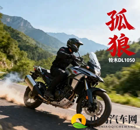 实力不输水鸟 价格少一大截 聊聊铃木DL1050这匹孤狼-2