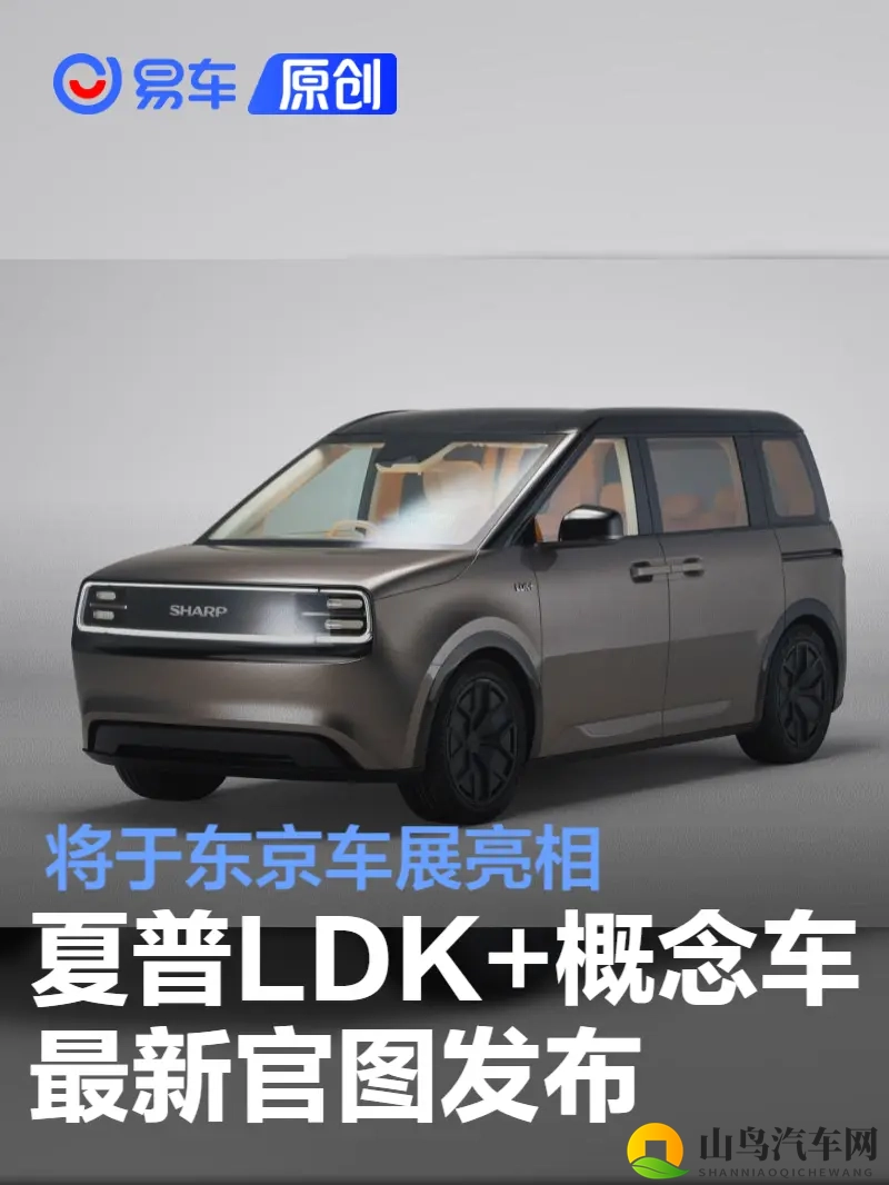 盘他s:汽车新贵崛起,引领潮流品牌揭秘-1