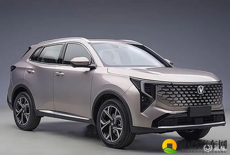 特大黑人娇小亚洲女：汽车新潮流：定制化车型满足个性化需求-3