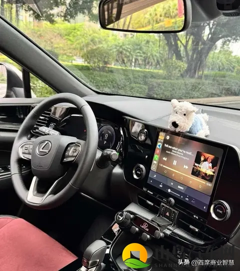 流氓视频下载：汽车视频下载新体验，告别安全困扰，畅享驾驶瞬间-2