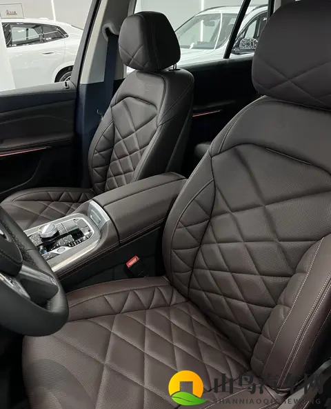 全新宝马X5惊艳亮相，全新设计风格，内饰调整，搭载30T发动机！-1