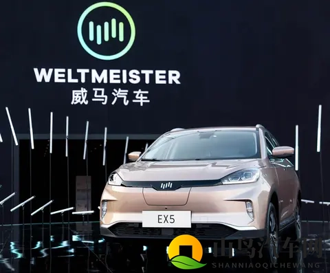 一折抢购威马的赚到了？威马汽车官宣“好事将近”-2