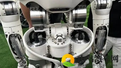 小鹏,“重拾”执念-2