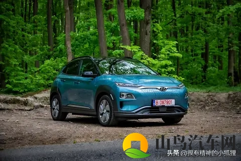 澳大利亚最好的电动汽车-3