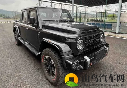 复古硬派皮卡上新！212探境者01申报曝光-1