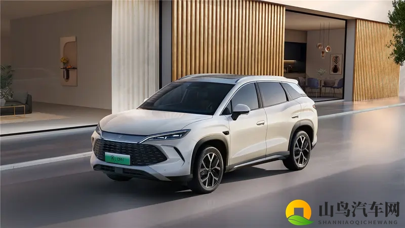 双车焕新刺激敏锐的市场，比亚迪宋家族重写价值定义-1