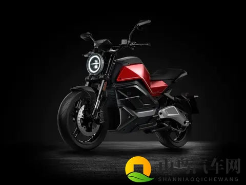 编译：2025 欧洲电动车市场、中国制造继续处于主导地位-3