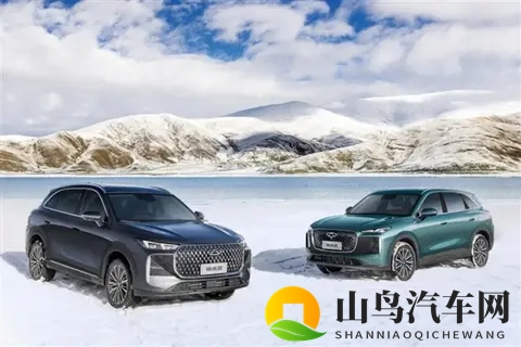 奇瑞最畅销SUV！第五代瑞虎8上市：限时929万元起-2