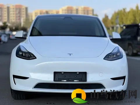 17万多入手准新特斯拉Model Y,都市代步优选-1