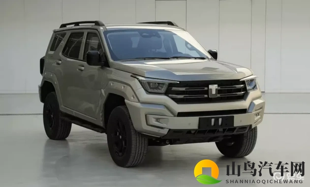 日本人jiZZ亚洲人：日本汽车，亚洲市场独领风骚-1