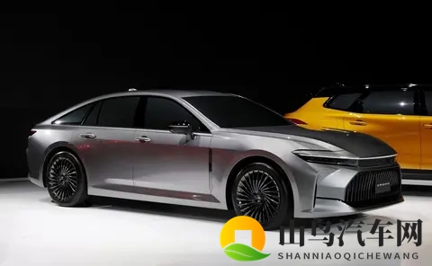 皇冠两个版本差价能买台宏光MINI EV，这道选择怎么解？-3