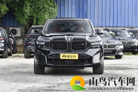 全新宝马X8登场：溜背设计引热议，智能与运动兼备瞄准中产新需求-2