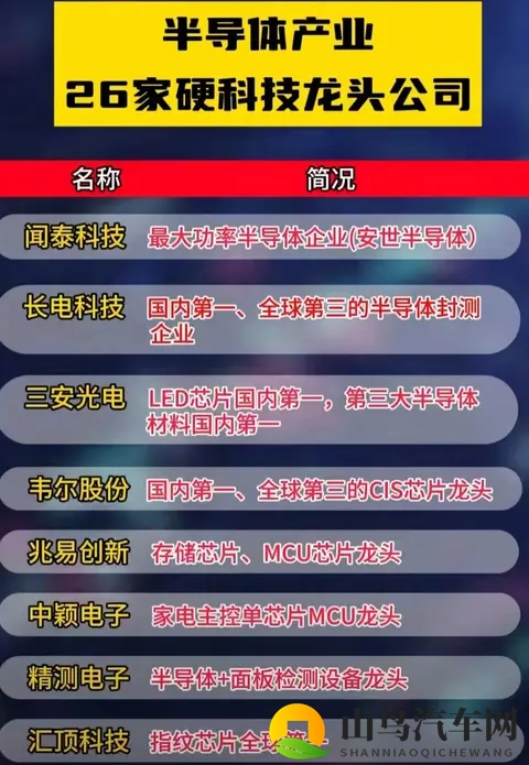 荷兰断供芯片反遭打脸，德国车企集体转向中国！-3