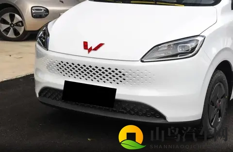 整成了“帅小伙”的模样，五菱神车还有人爱吗？或许价格仍是秘籍-2