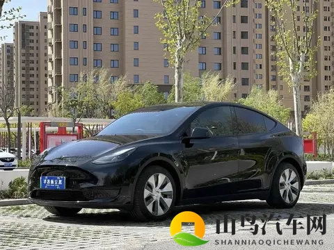 油车才是主宰，电车20年后会消失？车主的真实想法很现实-1