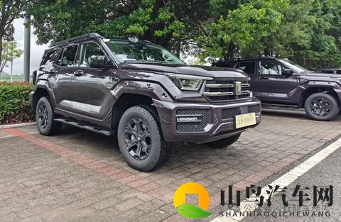 25万起,坦克400智能家用拉满,辅助驾驶雨天重庆也好用-2