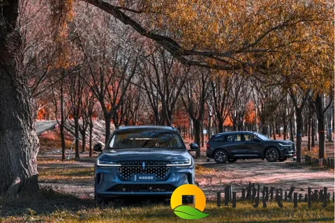 现场看测试场对比:航海家稳得像动画,分贝数据不掺水-2