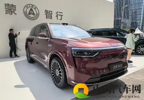 国产车企，纷纷走理想的路，让理想自己不好走了-2