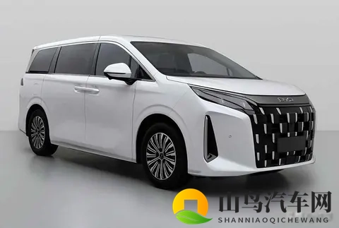 比亚迪夏降价了，家庭用户乐了，行业慌了-2