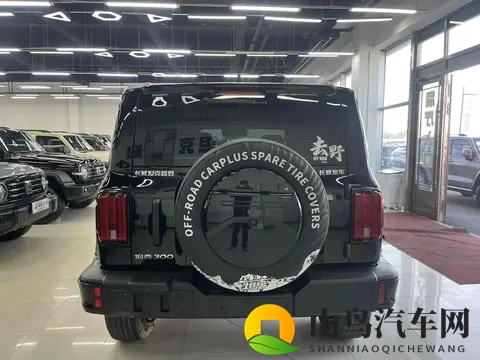 准新坦克300：2万公里，圆你越野梦！-2