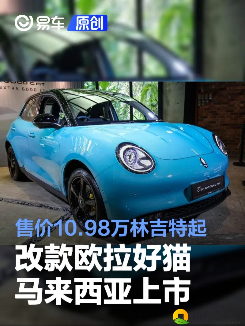 成人的世界一个就够了:豪华轿车指南:选对车型,提升生活品质-3