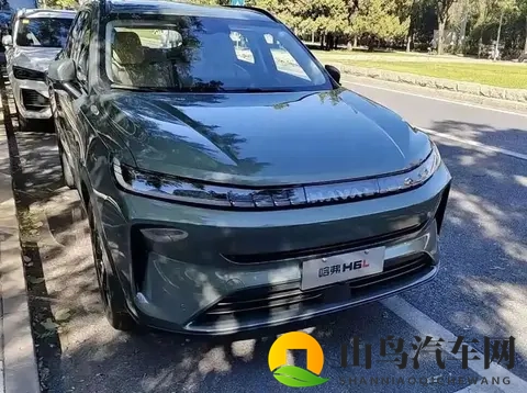 销冠老将“重出江湖”！11月上市，中型SUV国民奶爸车叫板新势力-2