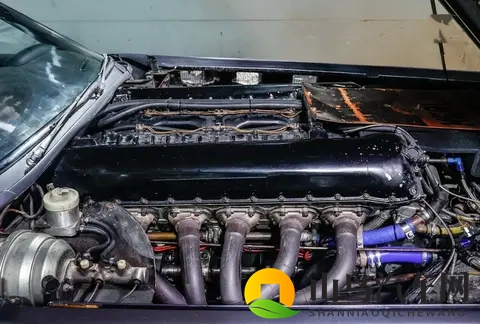 🇬🇧 “野兽”的传奇：270升V12引擎驱动的英国公路怪胎-1