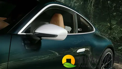 700小时的艺术：保时捷911 GT3 Ocelot：致敬拉美豹猫-1