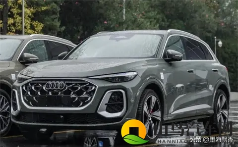 奥迪Q5L要大变样了好像,这事挺让人期待的。-3