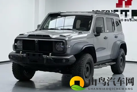 23年一手坦克300铁骑02,29万公里,圆你越野梦!-1