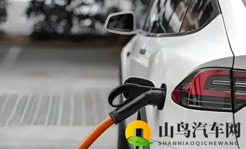 电车鄙视链真相:30万年薪的人买油车,300万年薪的人开电车-1