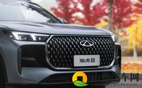 五代瑞虎8上市，929万起，升级16T还吃粗粮-3