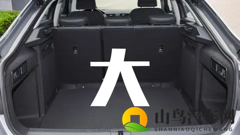 第213期:到底是谁在买斯柯达速派?-2