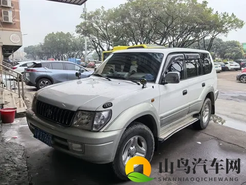 我与丰田LC95的小故事-3