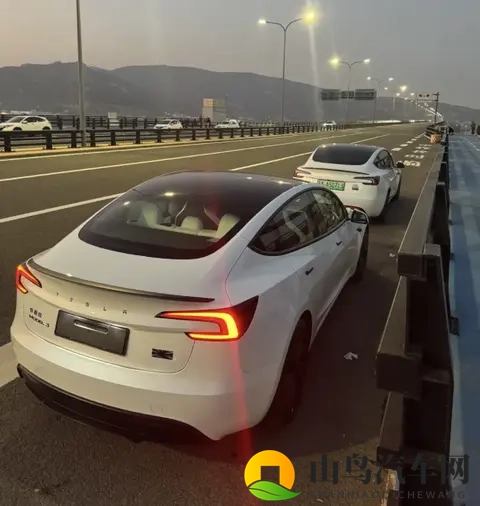 特斯拉黑标Model 3 Performance正式交付，保留专属徽章，更帅了-2
