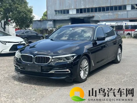 20款宝马5系：10万公里，香槟色外观，18万多开回家！-1