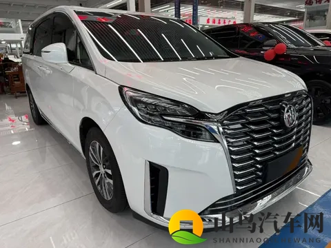 宜商宜家好选择，准新一手别克GL8陆尊-1