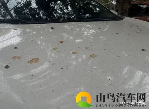 10个致命养车误区，90%车主都中招！做好这些让爱车多开5年!-1