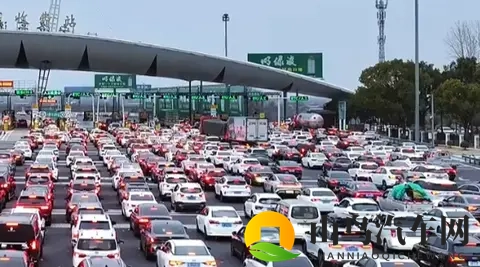 黄软件下载:汽车生活新体验,科技驾驶更轻松-3