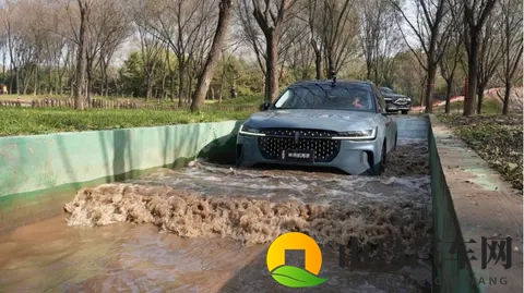 豪华SUV横评：试完 6 大场景，我选了 “不偏科” 的航海家-2