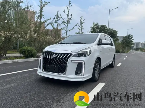 亚洲毛多水多：汽车市场新亮点：亚洲销量飙升，产业链蓬勃发展-2