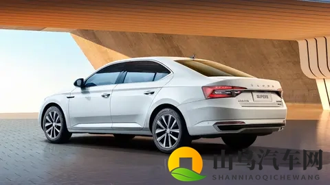 第213期:到底是谁在买斯柯达速派?-3