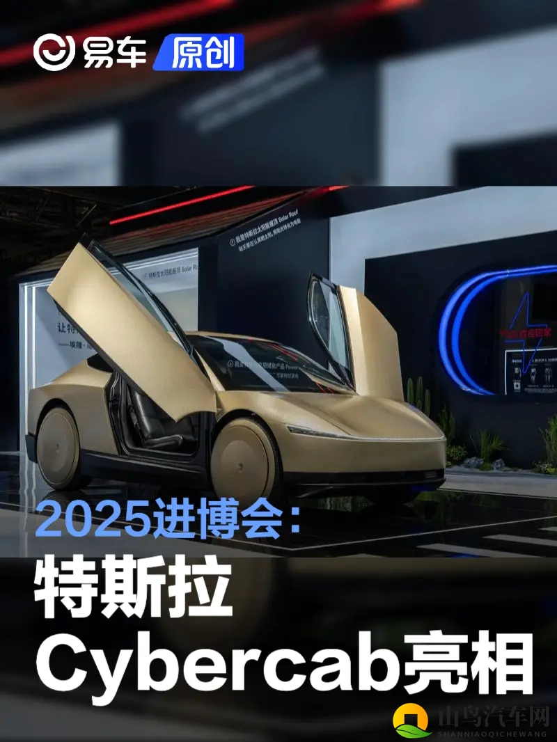 2025进博会：特斯拉Cybercab亮相-1