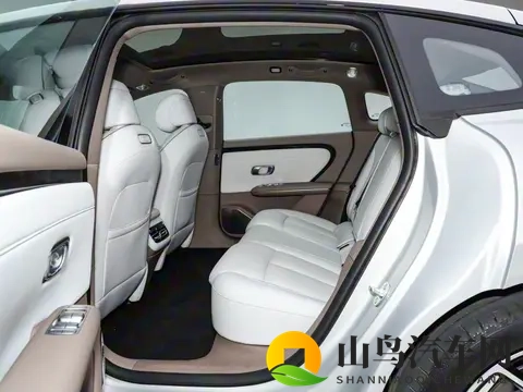 有高级感了！这台大空间绿牌家轿只要1099万元起-3