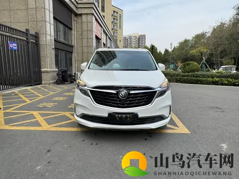 15万拿下20款别克GL8陆尊，家用_商务都合适？-1