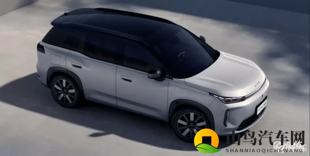 五月丁香网站：新能源汽车潮涌，特斯拉Model Y领衔豪华SUV-1