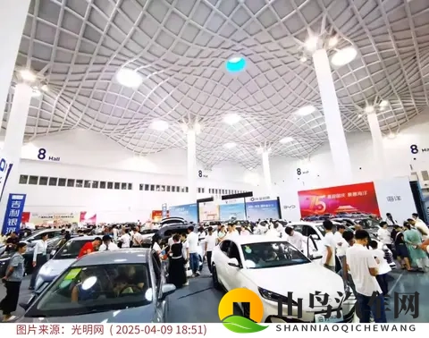 从全免到减半:购置税调整下的新能源车变局-3