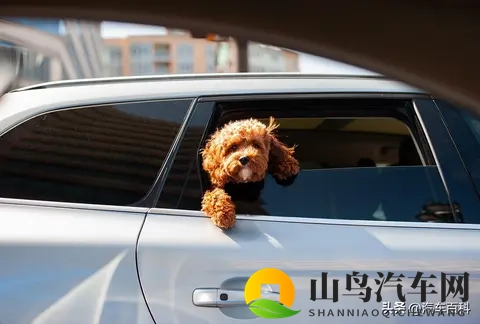 为什么坐车晕车，自己开车就不晕？-3