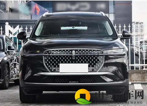 三四十万买什么车 说到底还是那个理儿-2